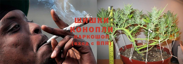 прущие грибы Горняк