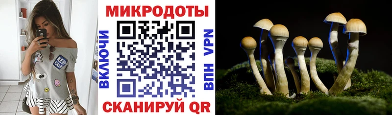 Галлюциногенные грибы GOLDEN TEACHER  цена наркотик  Новосокольники 